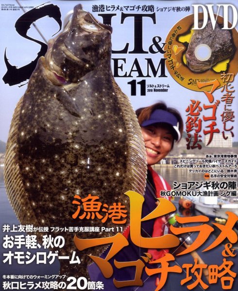 SALT＆STREAM（ソルト＆ストリーム） 11月号 (発売日2010年09月21日) 表紙