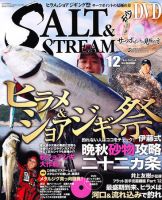 SALT＆STREAM（ソルト＆ストリーム） 12月号 (発売日2010年10月21日) 表紙