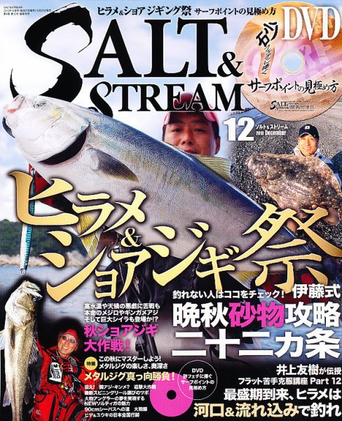 SALT＆STREAM（ソルト＆ストリーム） 12月号 (発売日2010年10月21日) 表紙