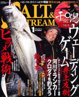 SALT＆STREAM（ソルト＆ストリーム） 1月号 (発売日2010年11月20日) 表紙