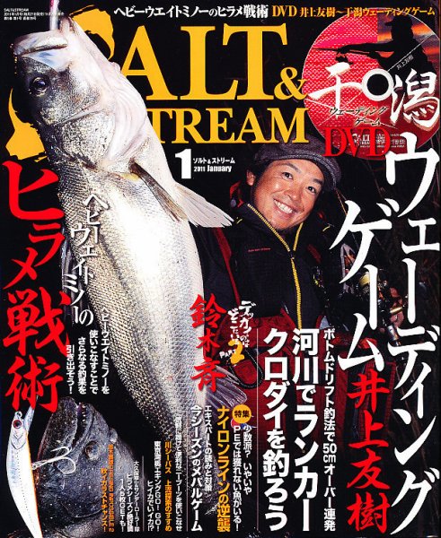 SALT＆STREAM（ソルト＆ストリーム） 1月号 (発売日2010年11月20日) 表紙