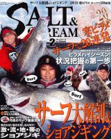 SALT＆STREAM（ソルト＆ストリーム） 2月号 (発売日2010年12月21日) 表紙