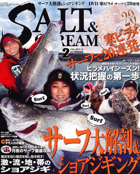 SALT＆STREAM（ソルト＆ストリーム） 2月号 (発売日2010年12月21日) 表紙