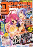 DRAGON MAGAZINE (ドラゴンマガジン) 1月号 (発売日2010年11月20日) 表紙