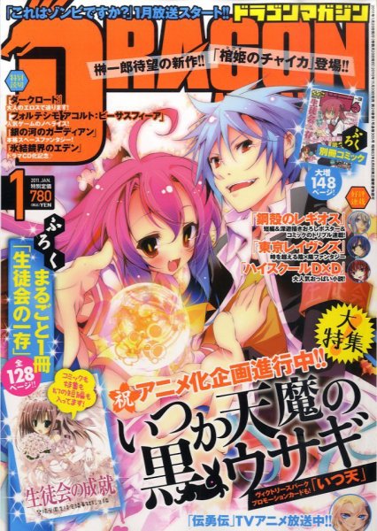 DRAGON MAGAZINE (ドラゴンマガジン) 1月号 (発売日2010年11月20日) 表紙