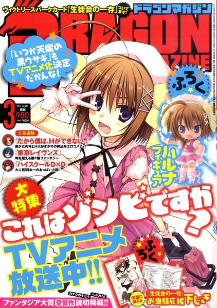 DRAGON MAGAZINE (ドラゴンマガジン) 3月号 (発売日2011年01月20日) 表紙