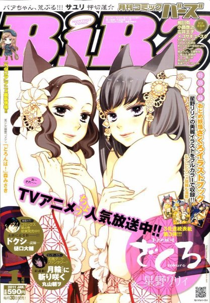 コミック BIRZ (バーズ)  1月号 (発売日2010年11月30日) 表紙