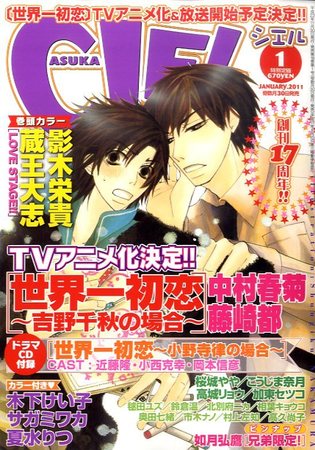 日本の城シリーズ 1-11巻 + 雑誌121冊