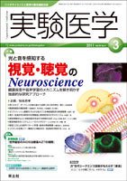 実験医学 Vol.29No.4 (発売日2011年02月20日) 表紙