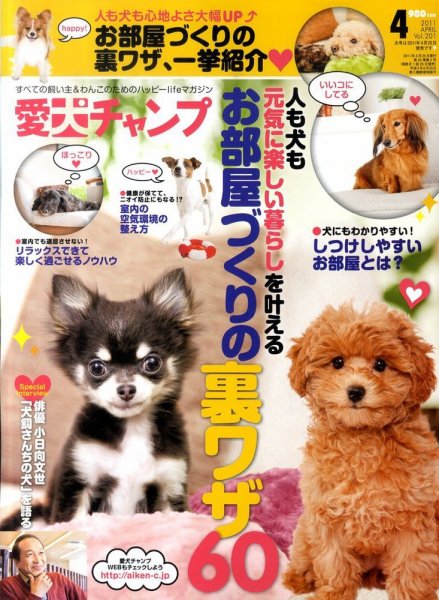 愛犬チャンプ 4月号 (発売日2011年02月25日) 表紙