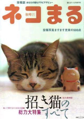 ネコまる No.6 (発売日2003年10月21日) 表紙