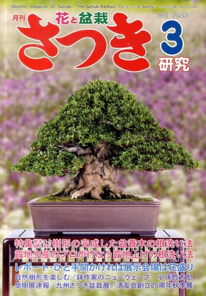 さつき研究 3月号 (発売日2011年02月05日) 表紙