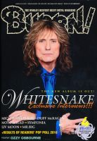 BURRN！（バーン） 2011年4月号 (発売日2011年03月05日) 表紙