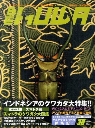 くらしを楽しむアイテム イマキラ12冊 1994〜1998 インセクトマートのクワガタムシ採集記 標本