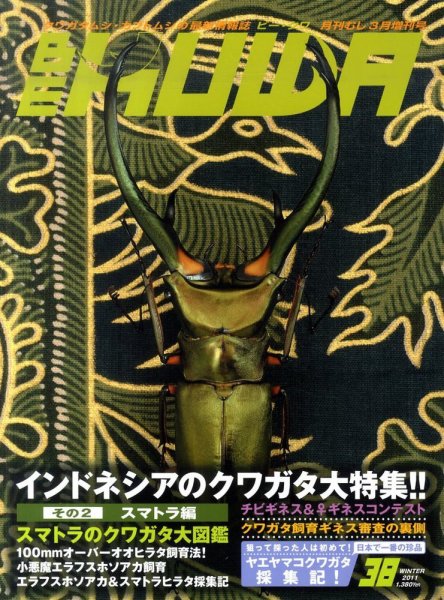 BE-KUWA（ビークワ） 38 (発売日2011年01月25日) 表紙