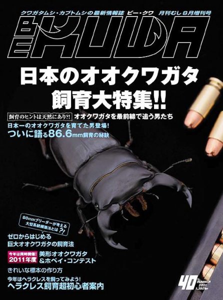 BE-KUWA（ビークワ） 40 (発売日2011年07月12日) 表紙