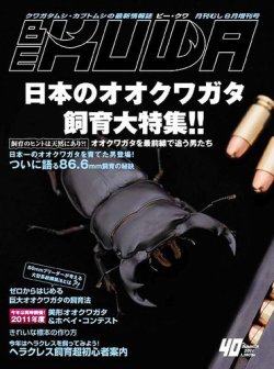 BE-KUWA（ビークワ） 40 (発売日2011年07月12日) | 雑誌/定期