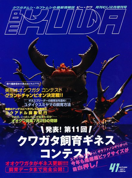 BE-KUWA（ビークワ） 41 (発売日2011年10月18日) 表紙