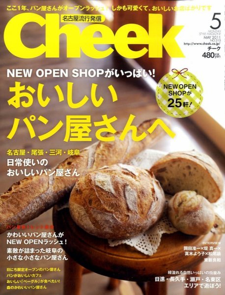 CHEEK（チーク） 5月号 (発売日2011年03月23日) 表紙