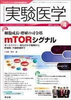 実験医学 Vol.29No.6 (発売日2011年03月20日) 表紙