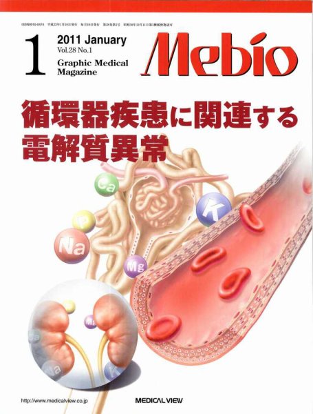 Mebio 2011年1月号 (発売日2010年12月10日) 表紙