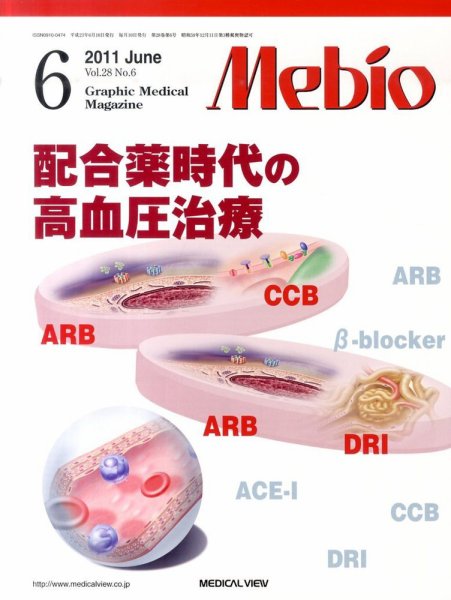 Mebio 2011年6月号 (発売日2011年05月11日) 表紙