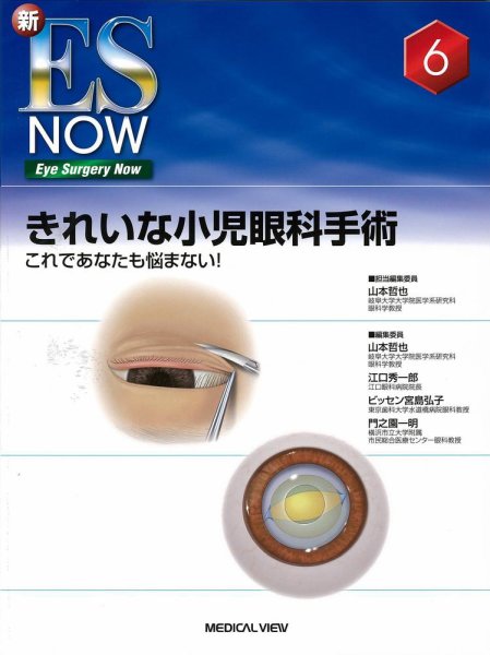 新 ES NOW（シン イーエス ナウ） No.6 (発売日2011年04月30日) 表紙