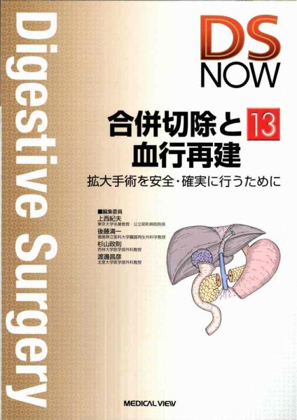 DS NOW（ディーエス ナウ） No.13 (発売日2011年03月25日) 表紙