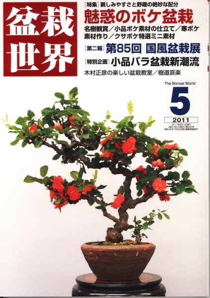 盆栽世界 2011年5月 (発売日2011年04月04日) 表紙