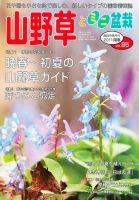 山野草とミニ盆栽 5月号 (発売日2011年04月12日) 表紙