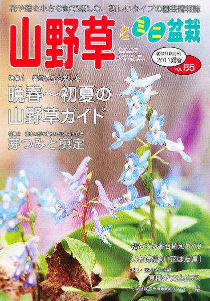 山野草とミニ盆栽 5月号 (発売日2011年04月12日) 表紙