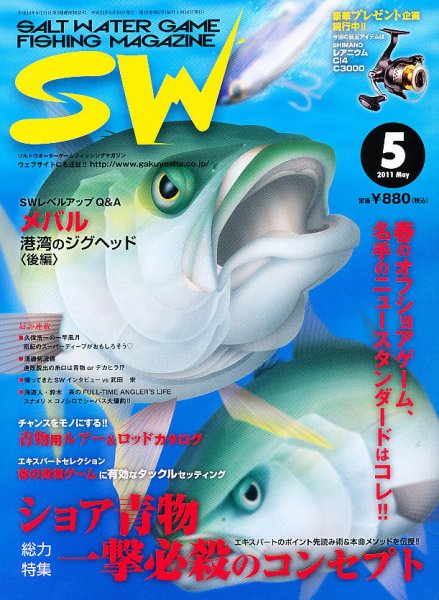 SALT WATER GAME 5月号 (発売日2011年04月09日) 表紙