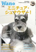 レトロ　新品　シユナウザー　犬　美品 620213_n.jpg