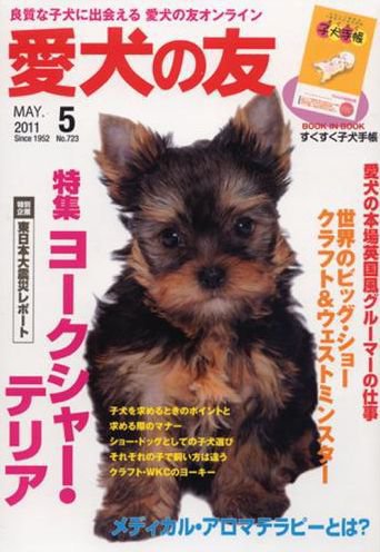 愛犬の友 5月号 (発売日2011年04月25日) 表紙