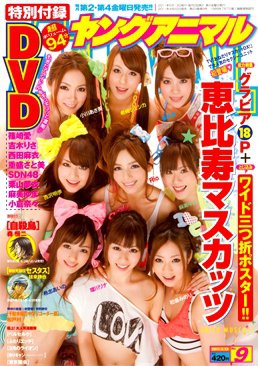 ヤングアニマル 5/13号 (発売日2011年04月22日) 表紙