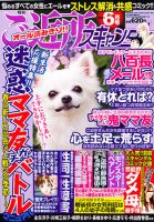 月刊 ご近所スキャンダル 6月号 (発売日2011年04月22日) 表紙