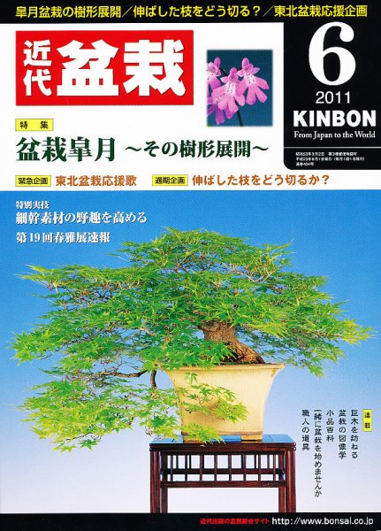 月刊 近代盆栽 6月号 (発売日2011年04月30日) 表紙