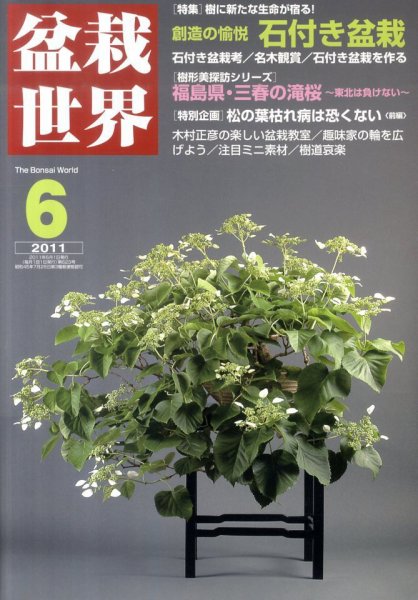 盆栽世界 2011年６月 (発売日2011年05月02日) 表紙