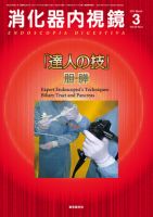 消化器内視鏡 11年3月増大号 表紙