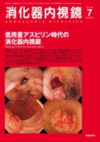 消化器内視鏡 11年7月号 表紙
