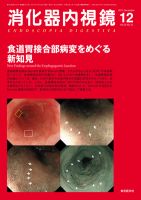 消化器内視鏡 11年12月号 表紙