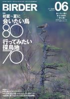 BIRDER（バーダー） 2011年6月号 (発売日2011年05月16日) 表紙