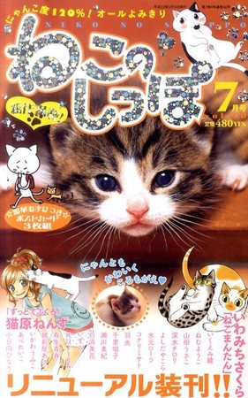 ねこページ まんがねこのしっぽ 7月号 (発売日2011年05月16日) | 雑誌/定期購読の