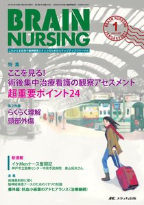 BRAIN NURSING（ブレインナーシング） 1月号 (発売日2010年12月22日) 表紙