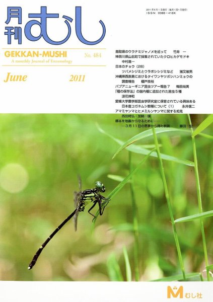 月刊むし 484 (発売日2011年05月23日) 表紙