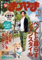 タウン情報まつやま 11月号 表紙