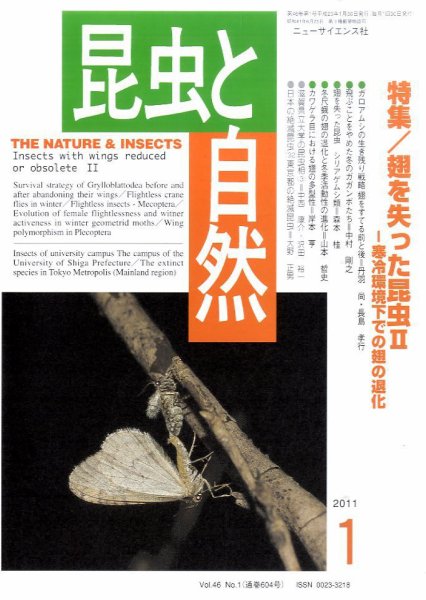昆虫と自然 1月号 (発売日2010年12月20日) 表紙
