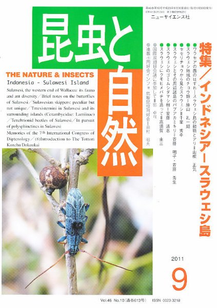 昆虫と自然 9月号 (発売日2011年08月23日) 表紙