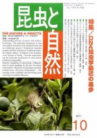 昆虫と自然 10月号 表紙