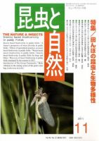 昆虫と自然 11月号 表紙